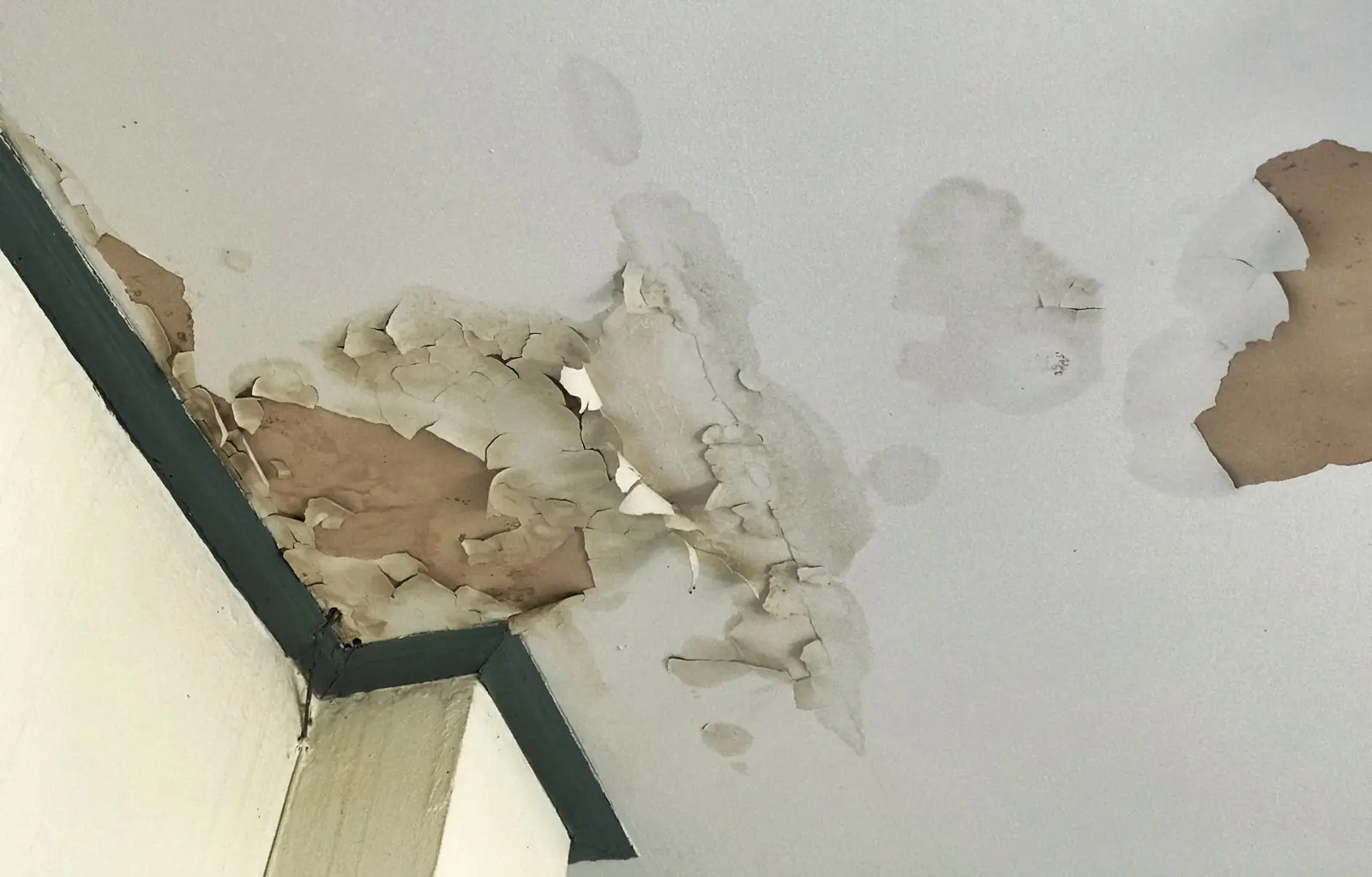 Water-stained, peeling ceiling paint from a roof leak